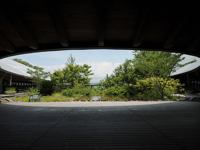 高知県立牧野植物園の写真