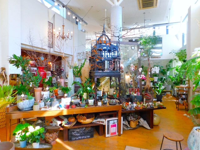 高知県の小物 雑貨のお店 スポット こうちドン