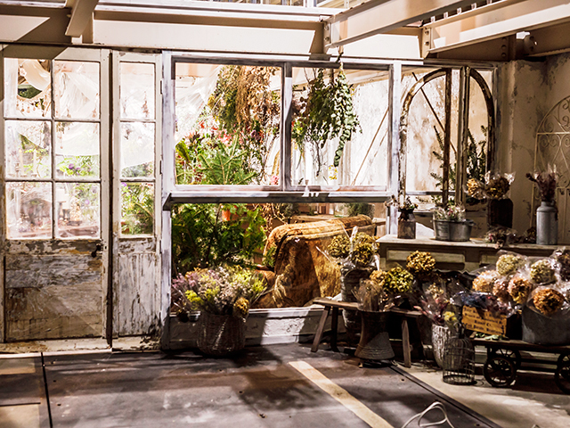 高知県の花 観葉植物のお店 スポット こうちドン 高知県の花 観葉植物のお店 スポット こうちドン