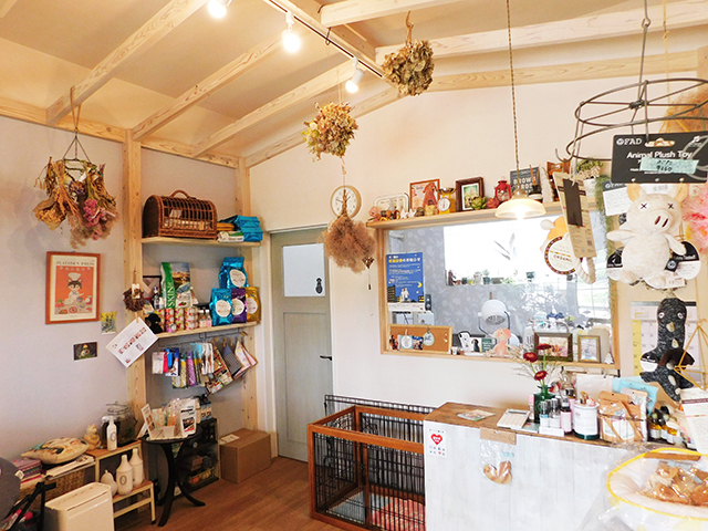 Dog salon tetoteの写真