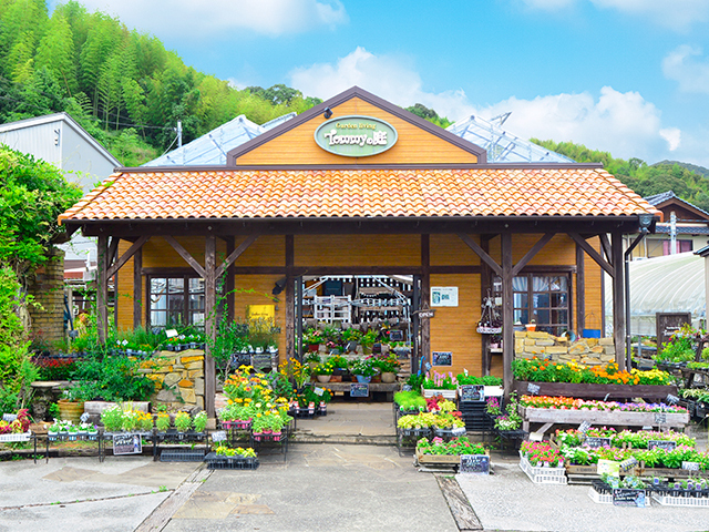 高知県のガーデニング 造園のお店 スポット こうちドン 高知県のガーデニング 造園のお店 スポット こうちドン