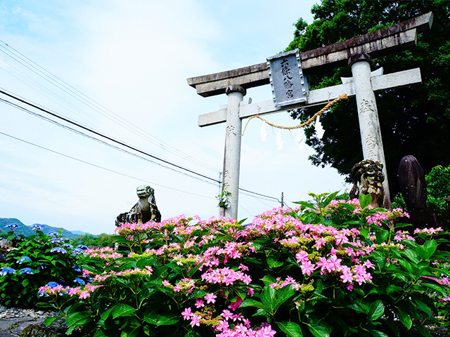 六條八幡宮の写真