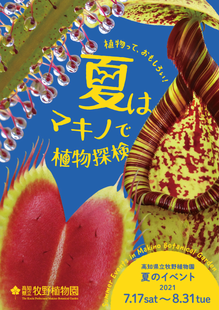 高知県の植物のイベント こうちドン 高知県の植物のイベント こうちドン