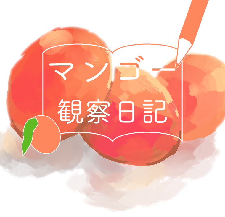 毎週更新！こうちドンのマンゴー観察日記